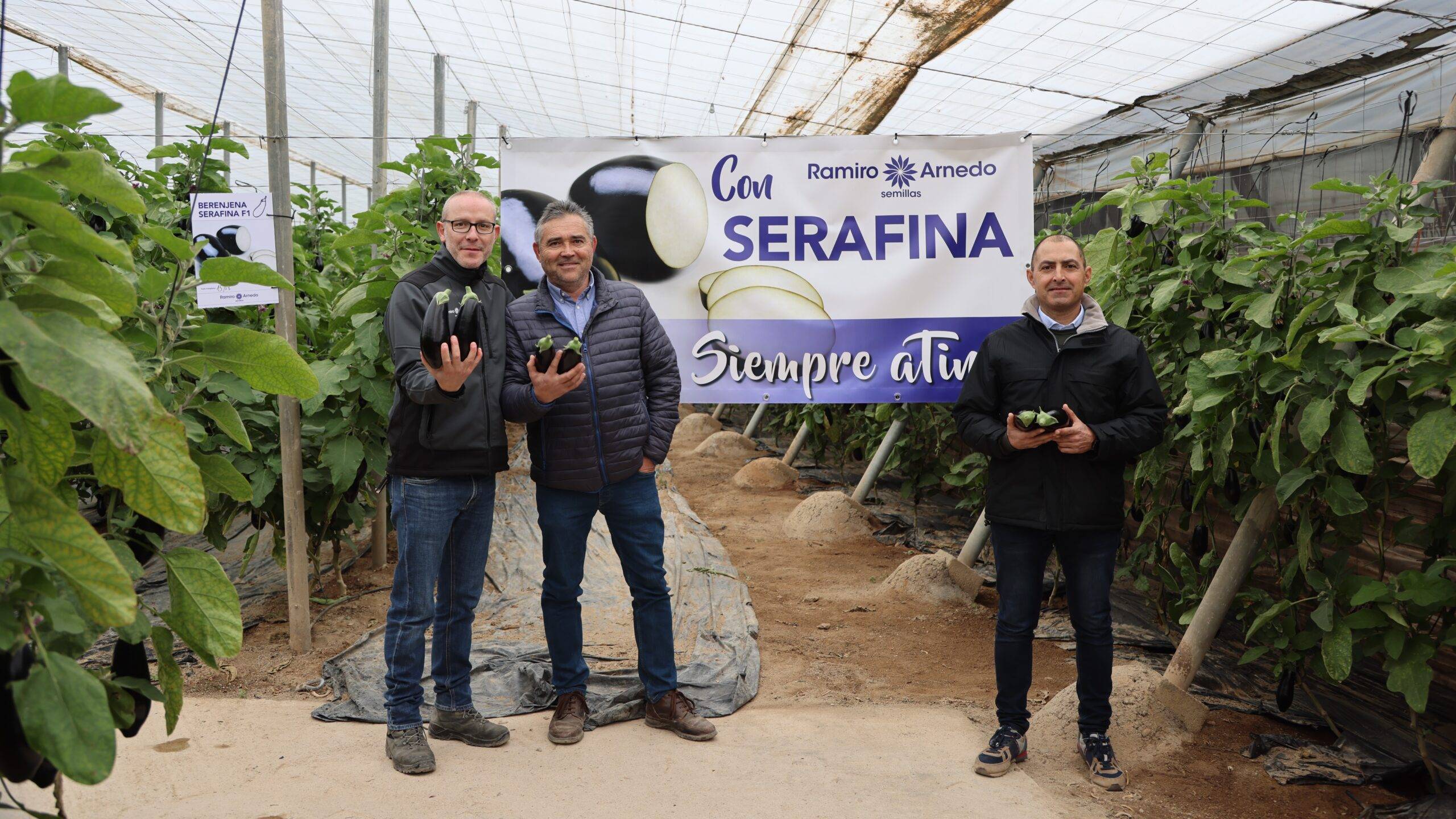 ramiro arnedo berenjena serafina|ramiro arnedo berenjena serafina|ramiro arnedo berenjena serafina
